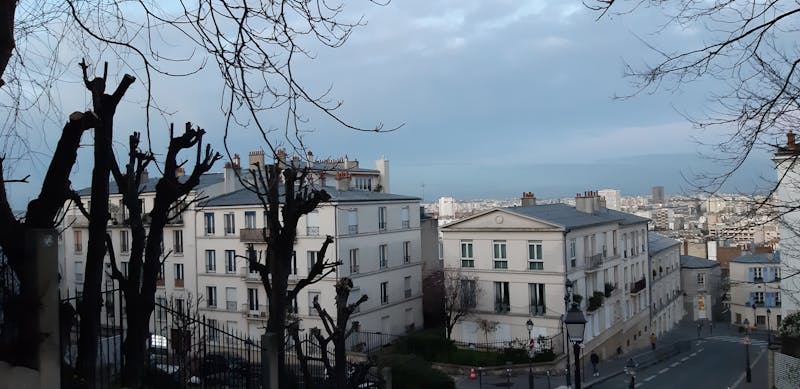 Yoga Philosophy: Finding Balance in Daily Life