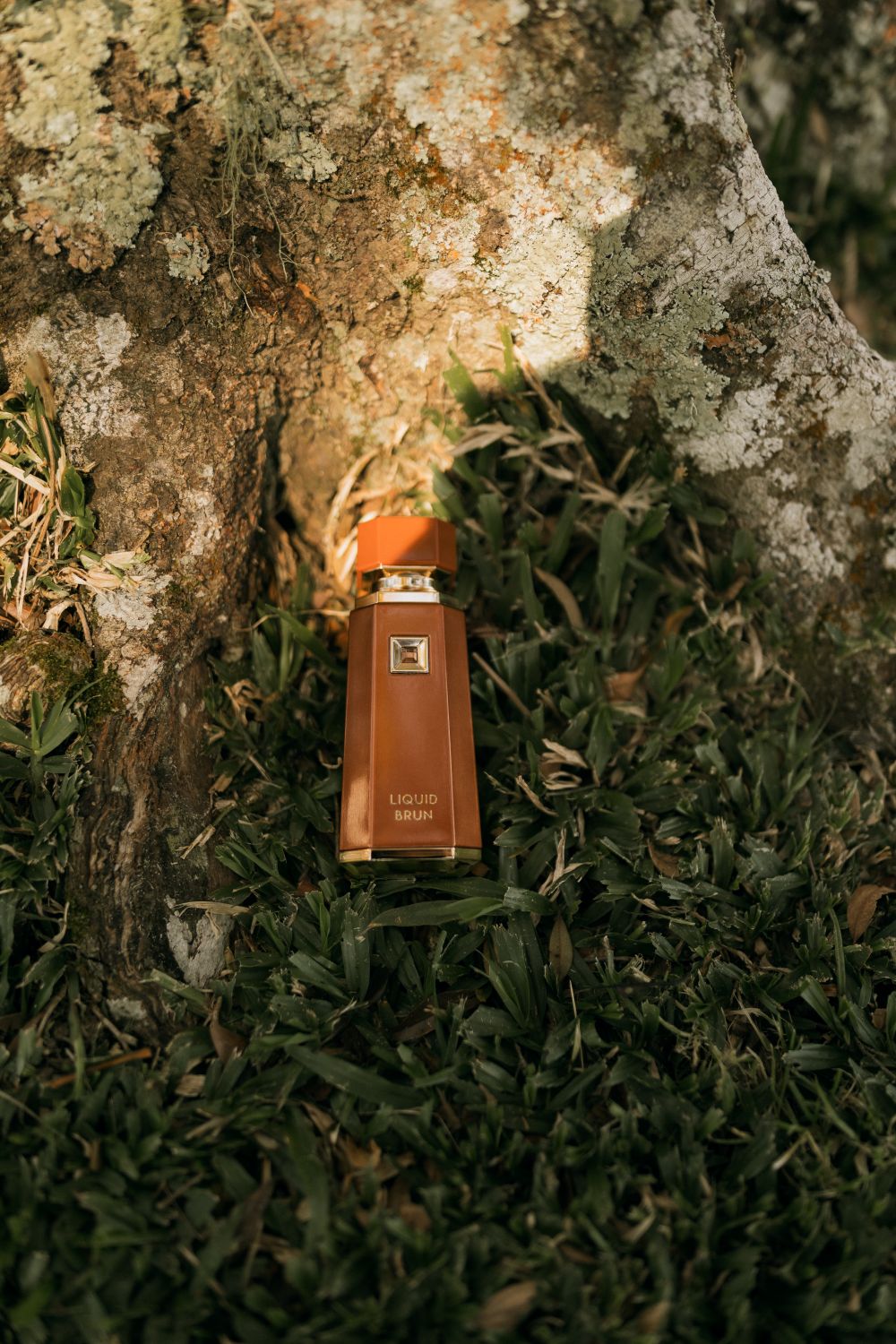 Background Language Portrait Perfume Bottle with Natural Background · Free Stock Photo