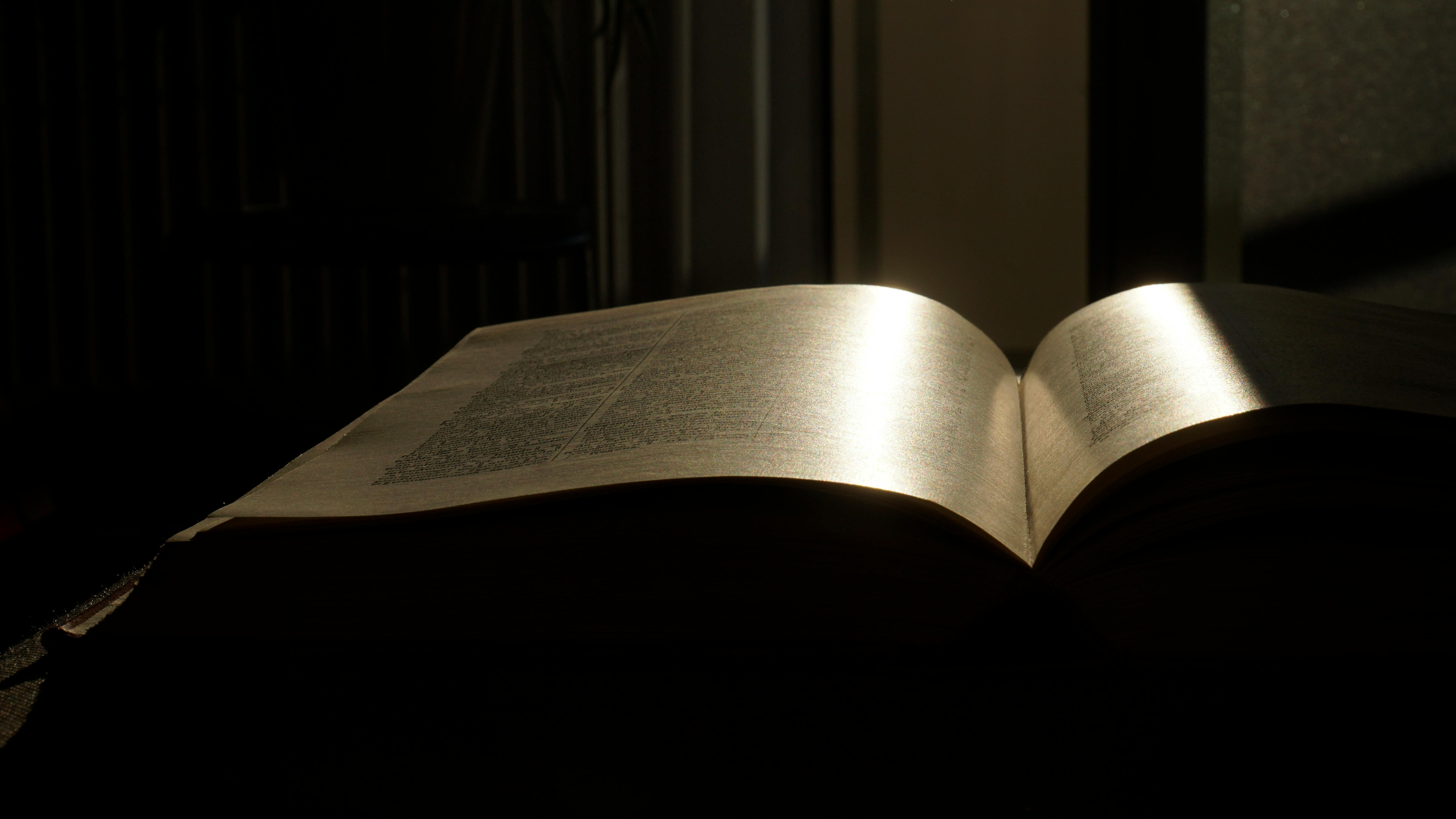 تقوية جهاز المناعة