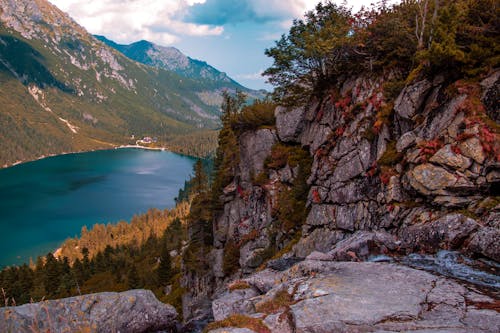 Foto d'estoc gratuïta de a l'aire lliure, Alt Tatra, arbres