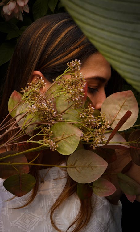 Kostenloses Stock Foto zu blätter, blumen, dramatisch