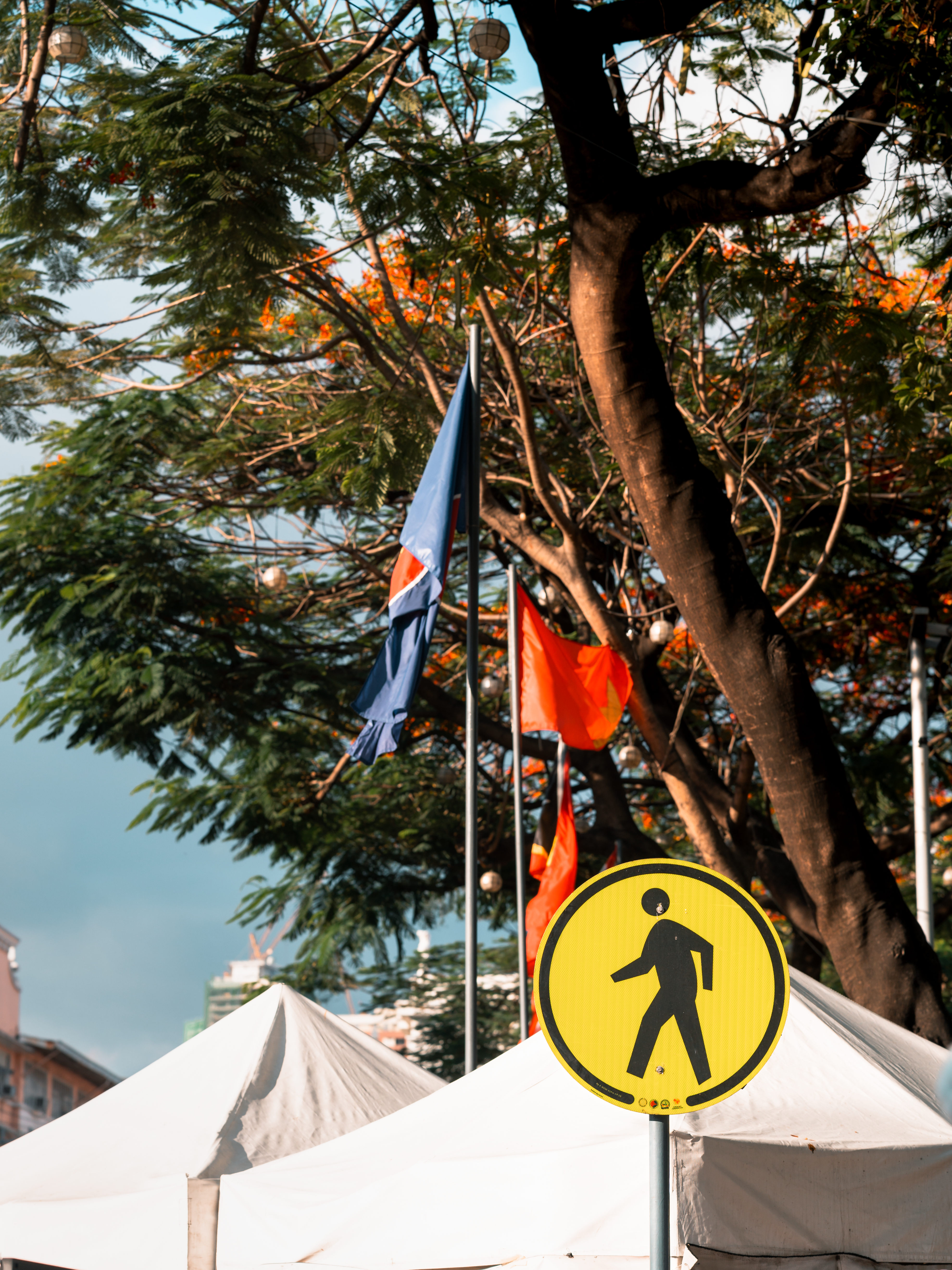 Manila Pedestrian Sign with Vibrant Flags · Free Stock Photo