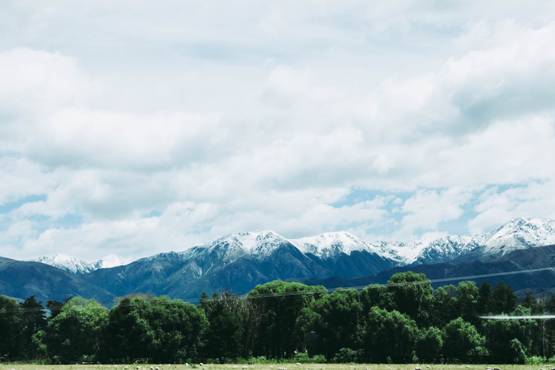 Imagine de stoc gratuită din Alpi, apogeu, arbori