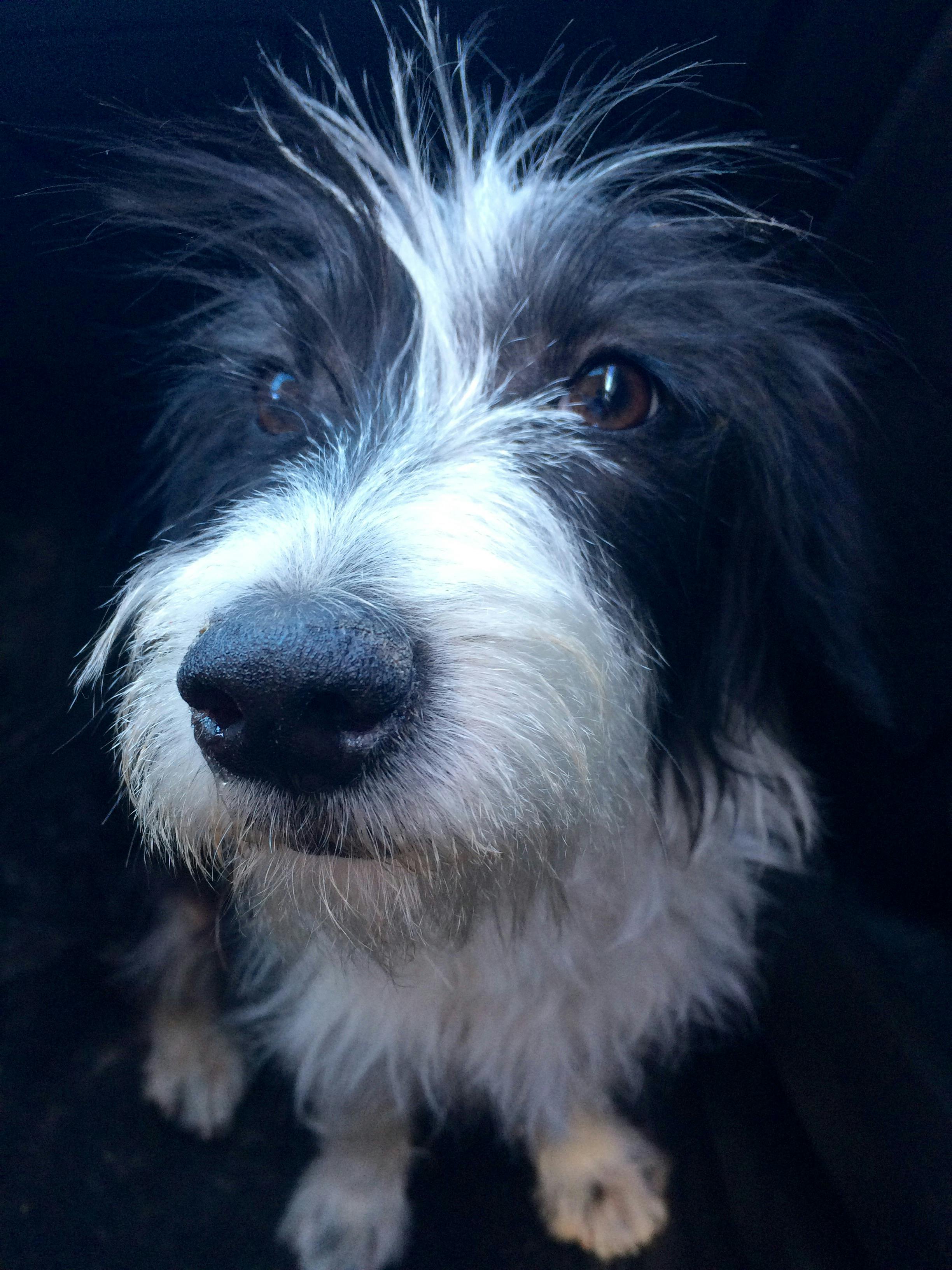 成都租赁公司如何用肇新智能文档比对处理复杂版式租赁协议的修订