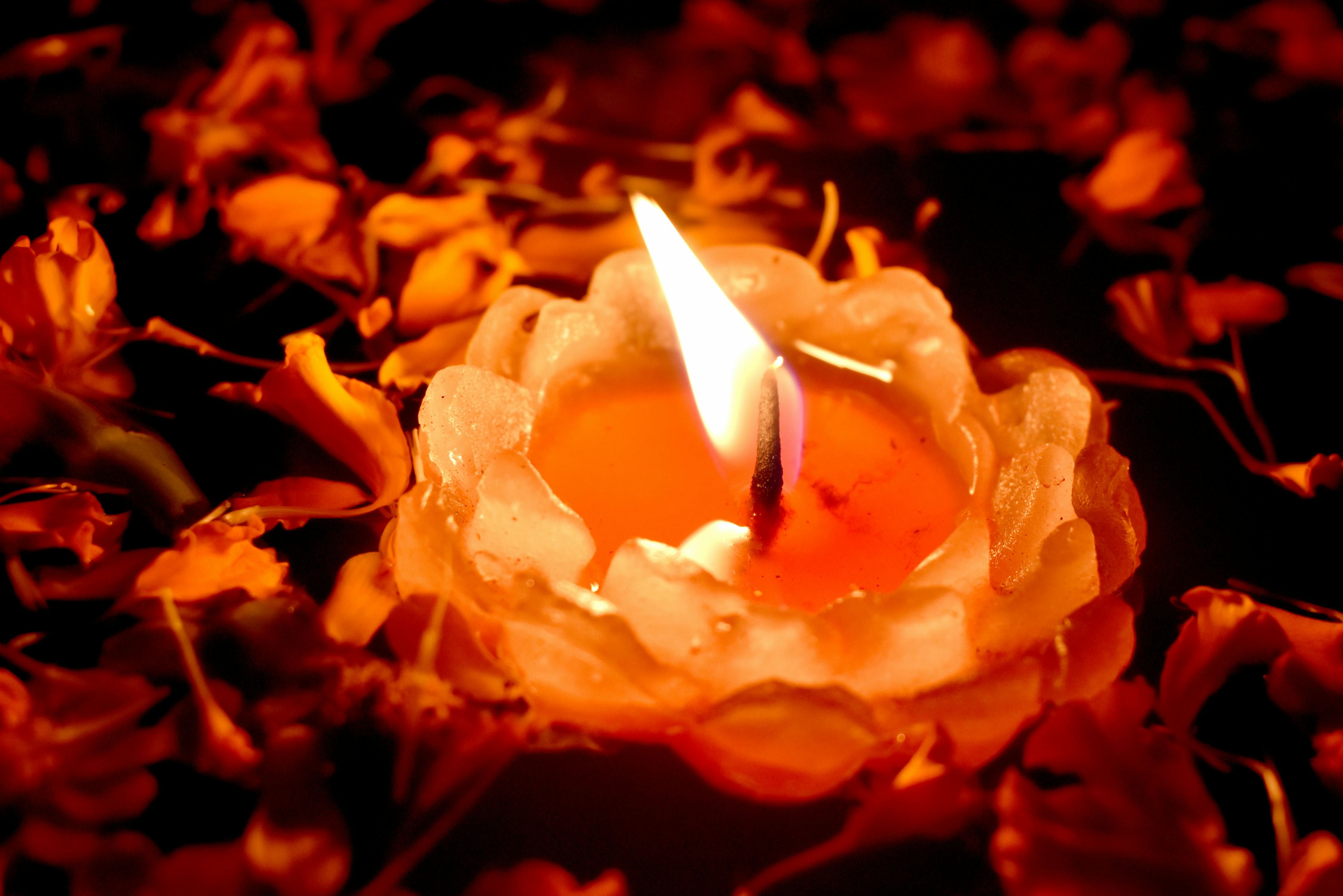 郑州基金公司如何用肇新智能文档比对保障投资协议比对的信息安全