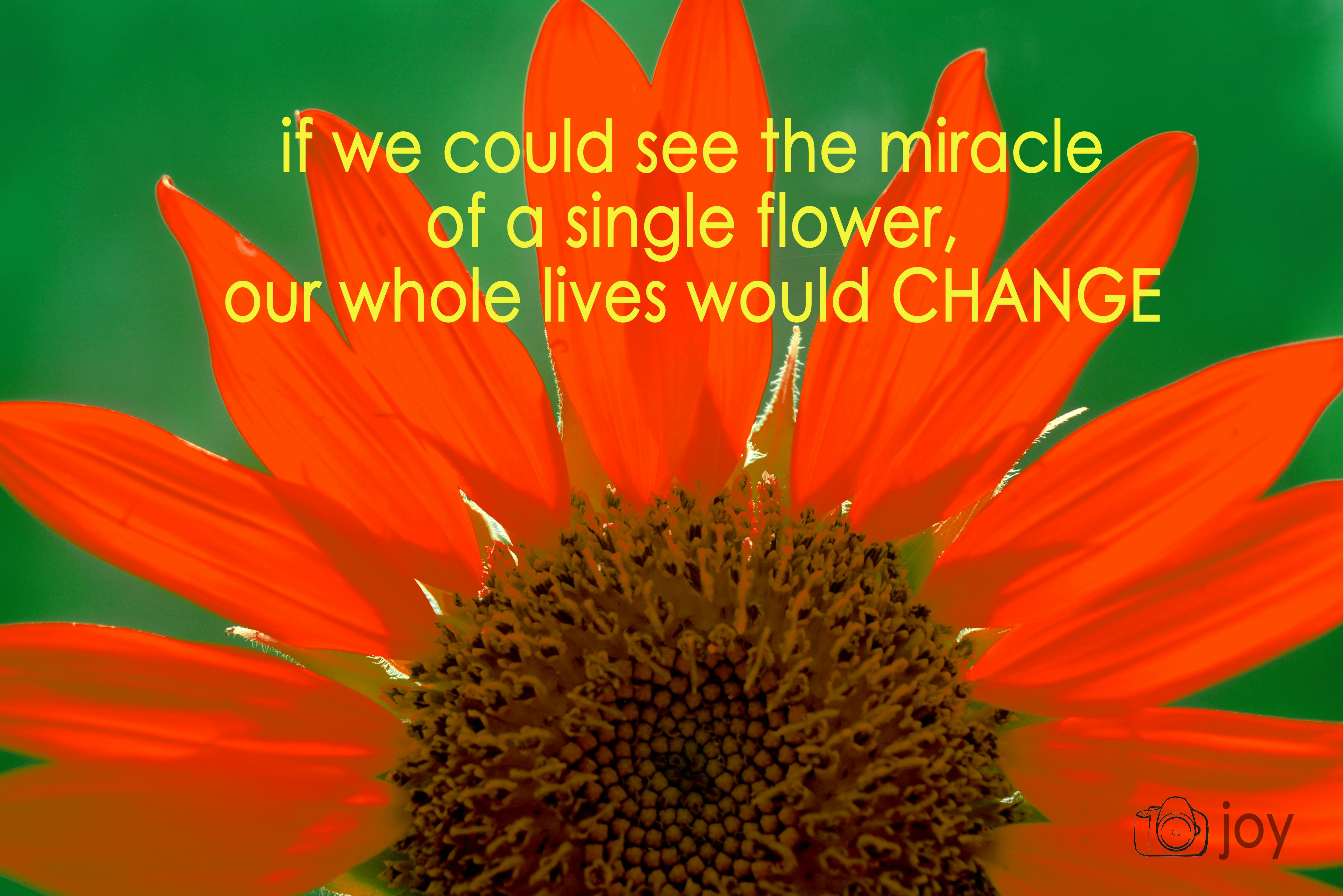 郑州政府机构如何用肇新智能文档比对确保政务文件比对的安全合规