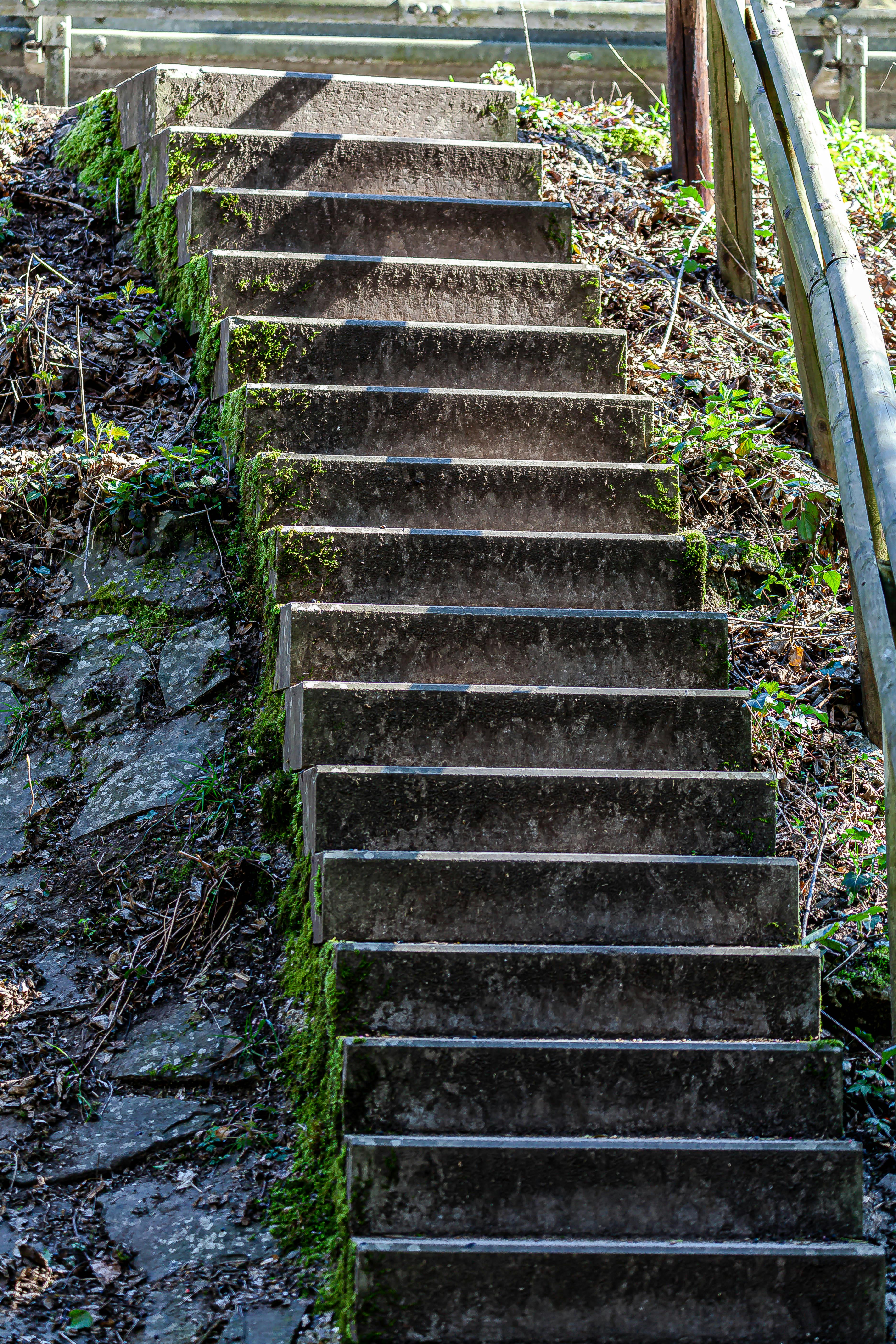 福州保险公司如何用肇新智能文档比对在内网环境下处理保单条款变更