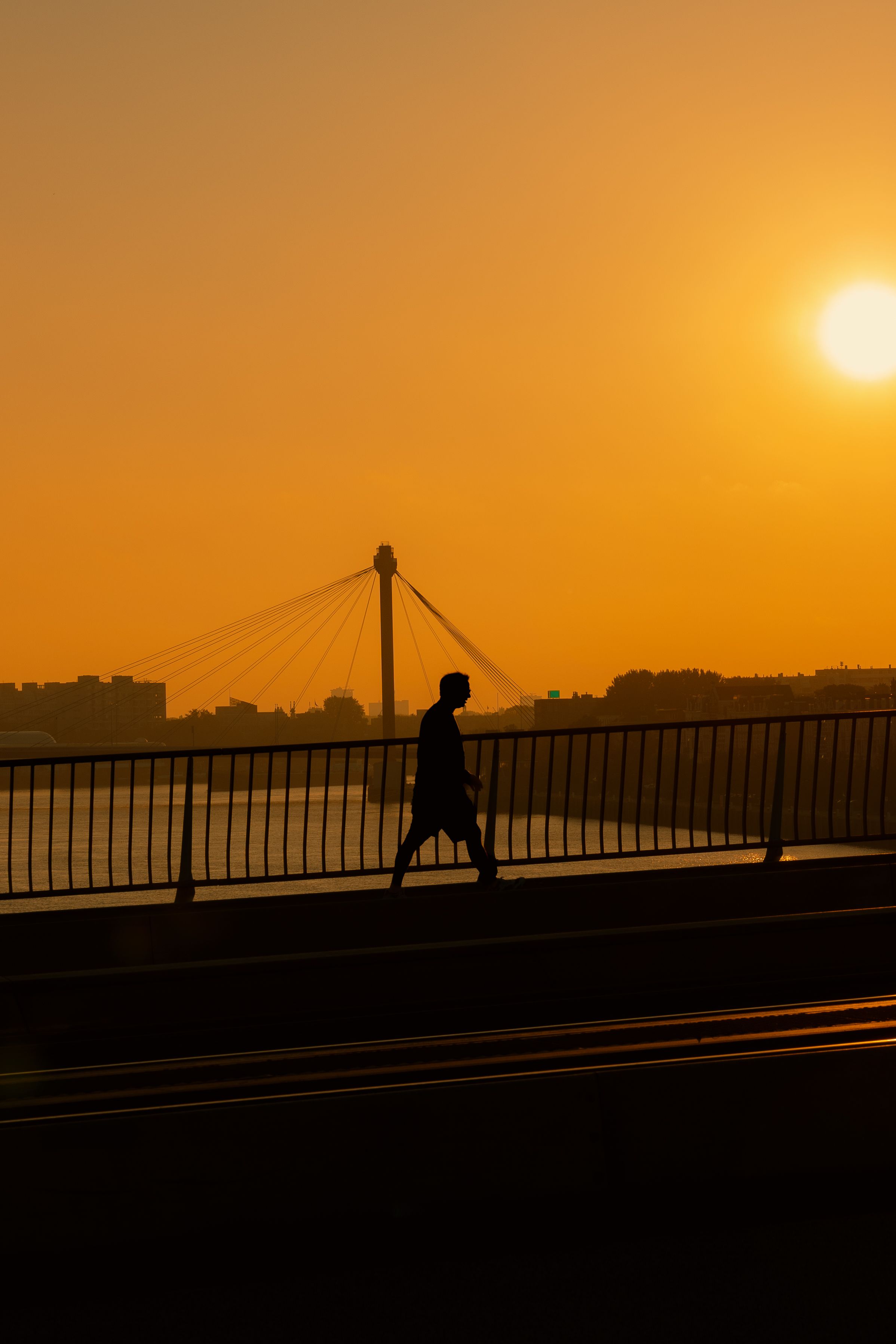 Silhouette on Erasmus Bridge at Sunrise in Rotterdam · Free Stock Photo