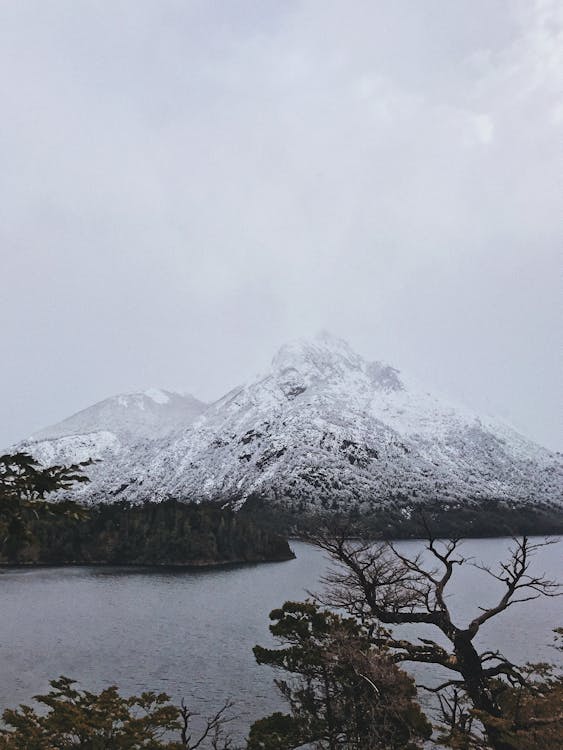 Gratis lagerfoto af bare træ, bjerg, bjergtinde