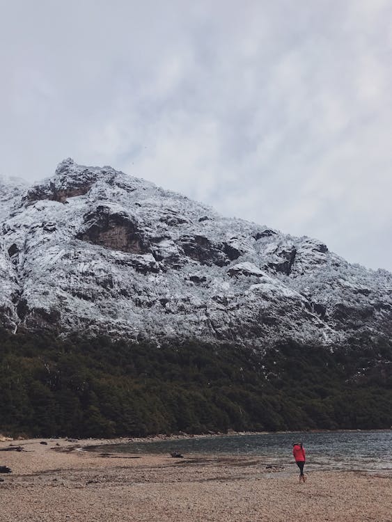 Fotos de stock gratuitas de al aire libre, Alpes, arboles