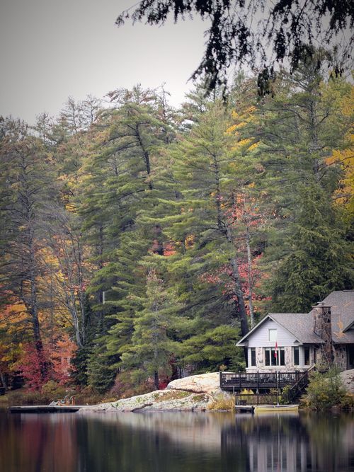Free Serene lakeside cabin surrounded by a vibrant autumn forest landscape. Stock Photo