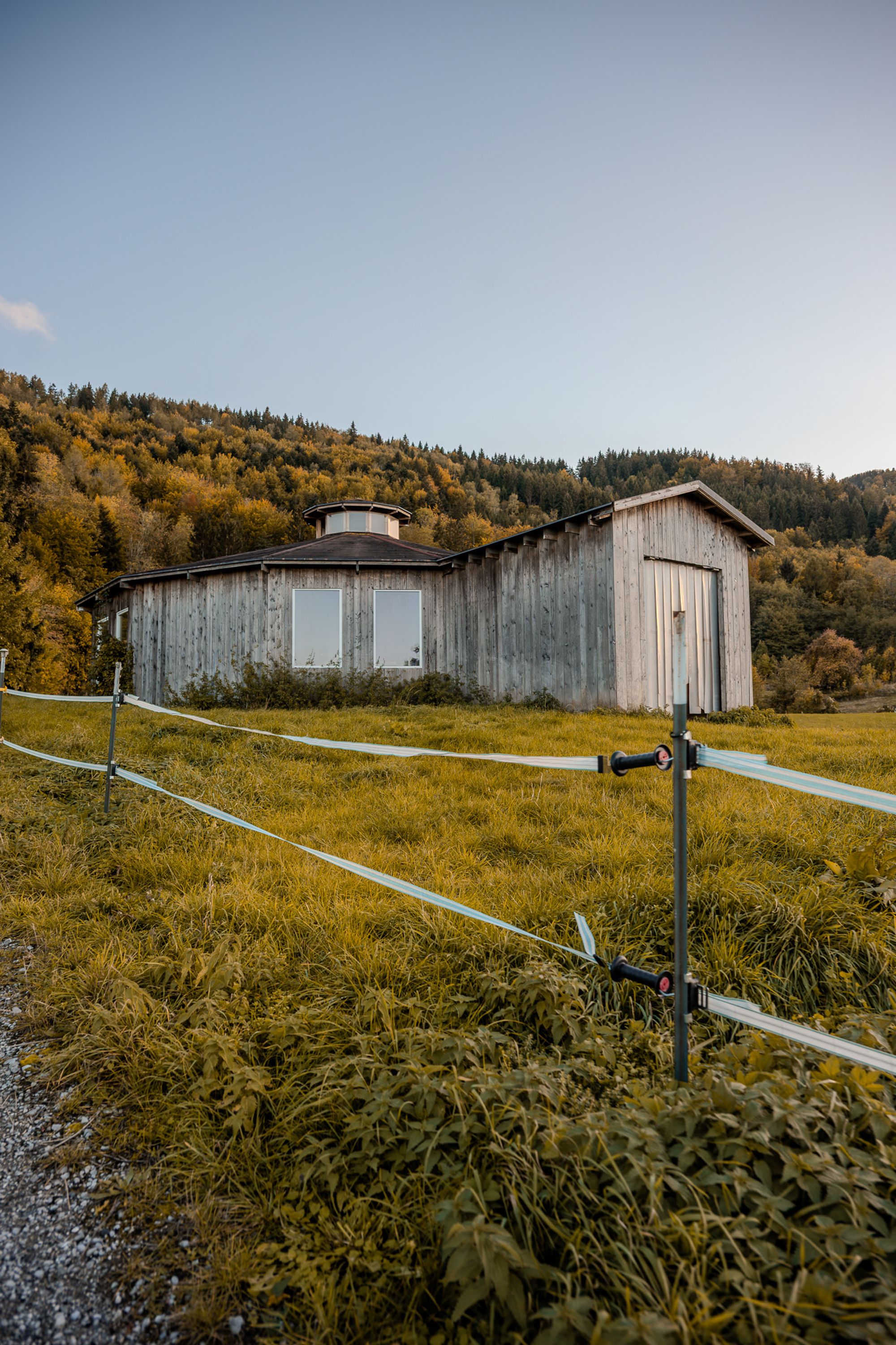 Rustic Barn amidst Lush Forest Landscape · Free Stock Photo