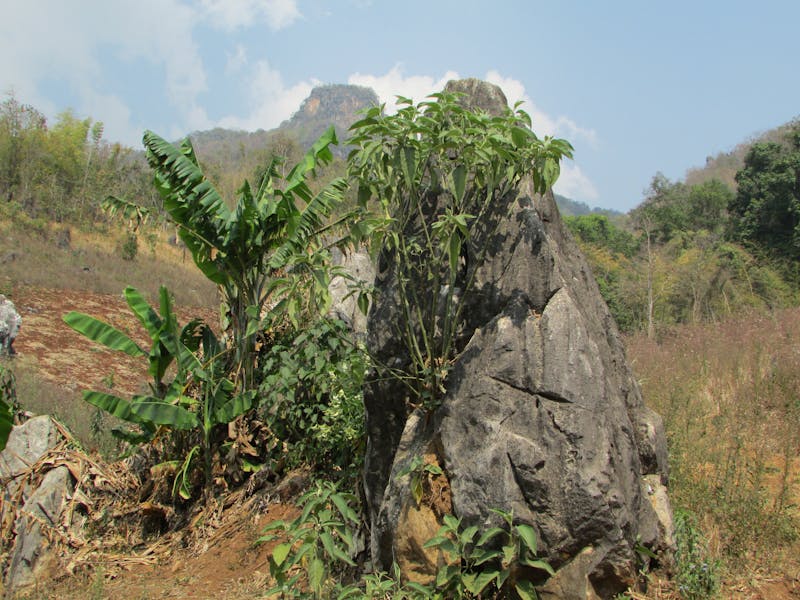 Esfoliazione settimanale