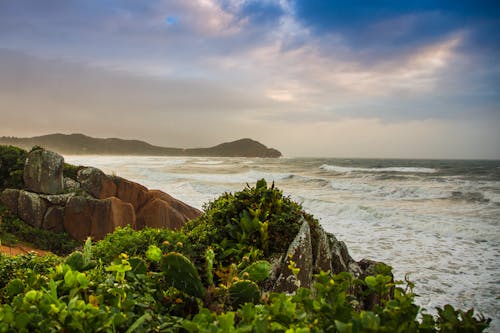 Foto d'estoc gratuïta de a la vora de l'oceà, alba, Brasil