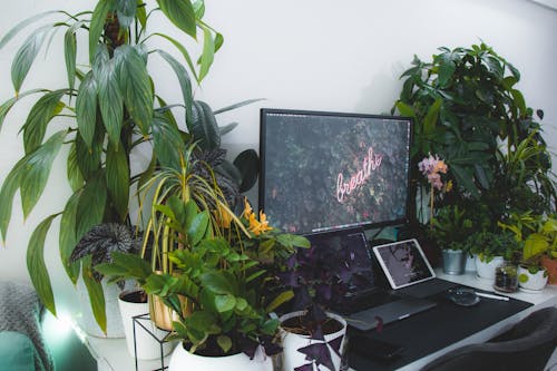 Black Flat Screen Tv on White Wooden Table