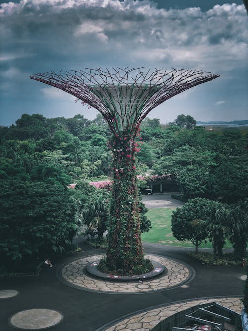 シティ, シンガポール, スーパーツリーの無料の写真素材