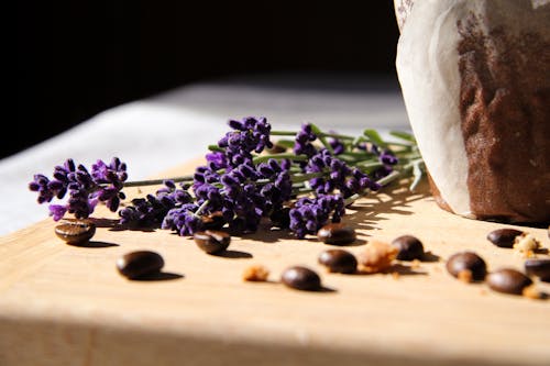 Purple Flowers  And  Coffee Beans On Table