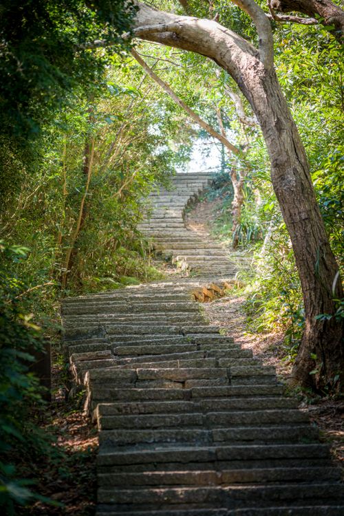 Free Discover a tranquil stone pathway winding through lush greenery in Taipei's forests. Stock Photo