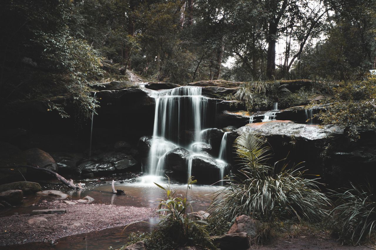 beautiful waterfall cascading in carlingford nsw surrounded by lush fo