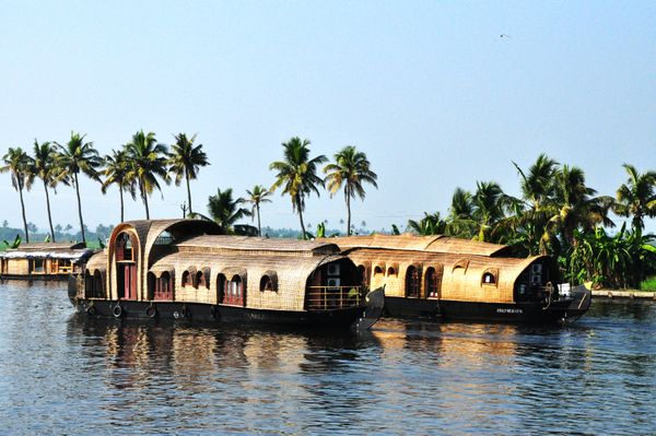 God's Own Kerala - Activity & Sightseeing