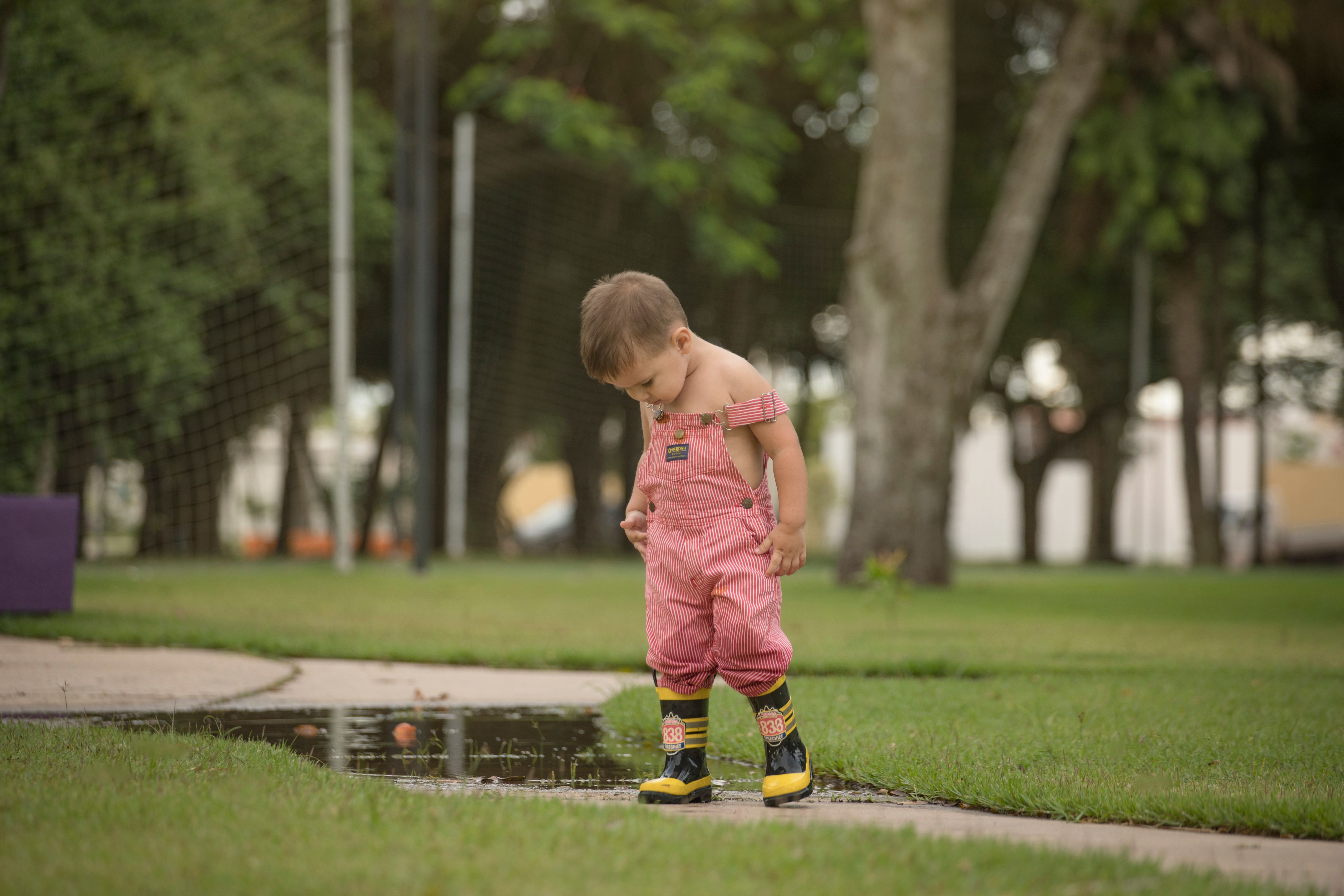 Curious Toddler in Overalls Exploring Puddle · Free Stock Photo