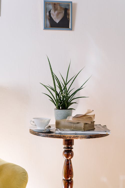 Free stock photo of appartment, armchair, at home Stock Photo