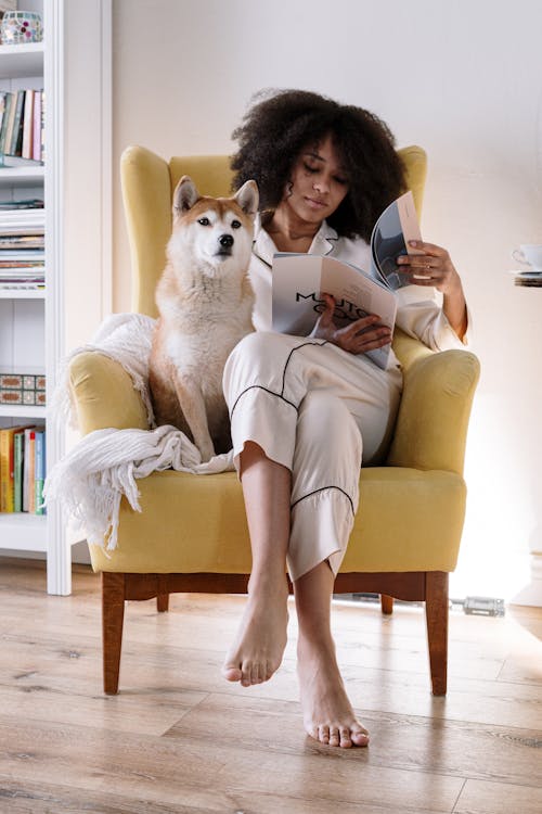 Free stock photo of afro, afro hair, animal