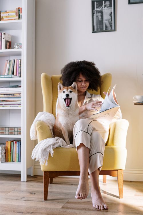 Free Woman reading a magazine in armchair with Shiba Inu dog on a cozy morning. Stock Photo
