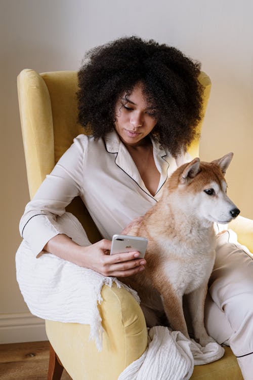 Free stock photo of afro, afro hair, animal Stock Photo