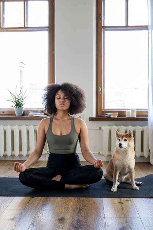 Free Woman Meditating Beside her Dog Stock Photo