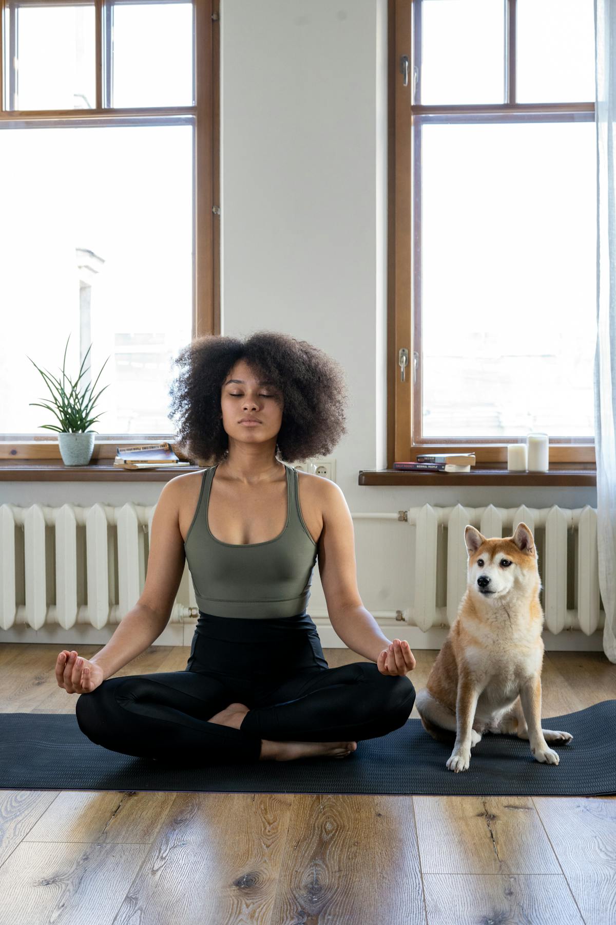 Meditation and stress relief
