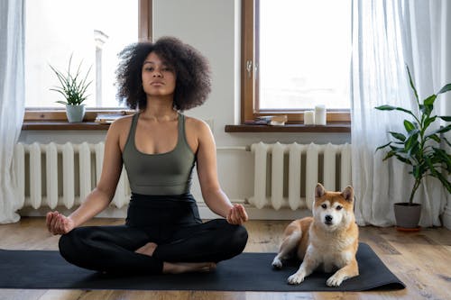 Afro, afro saç, ateşli hatun içeren Ücretsiz stok fotoğraf