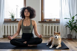 Free stock photo of afro, afro hair, animal