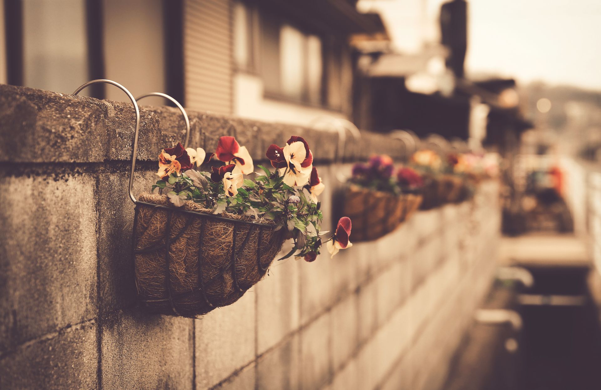 Beautiful flower baskets hanging on a rustic stone wall create a charming urban decor.