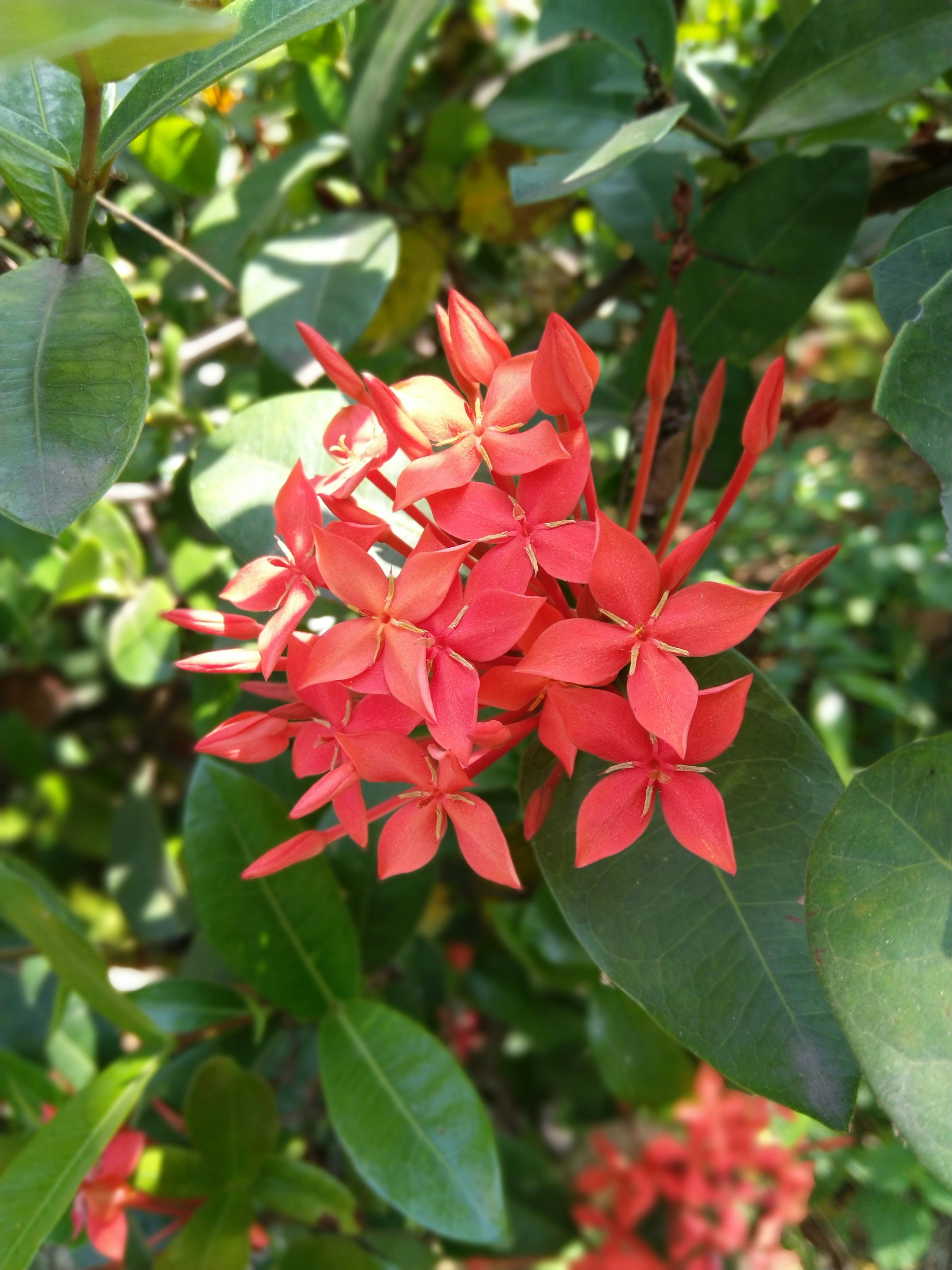 Couple walking slowly after dinner in an urban neighborhood