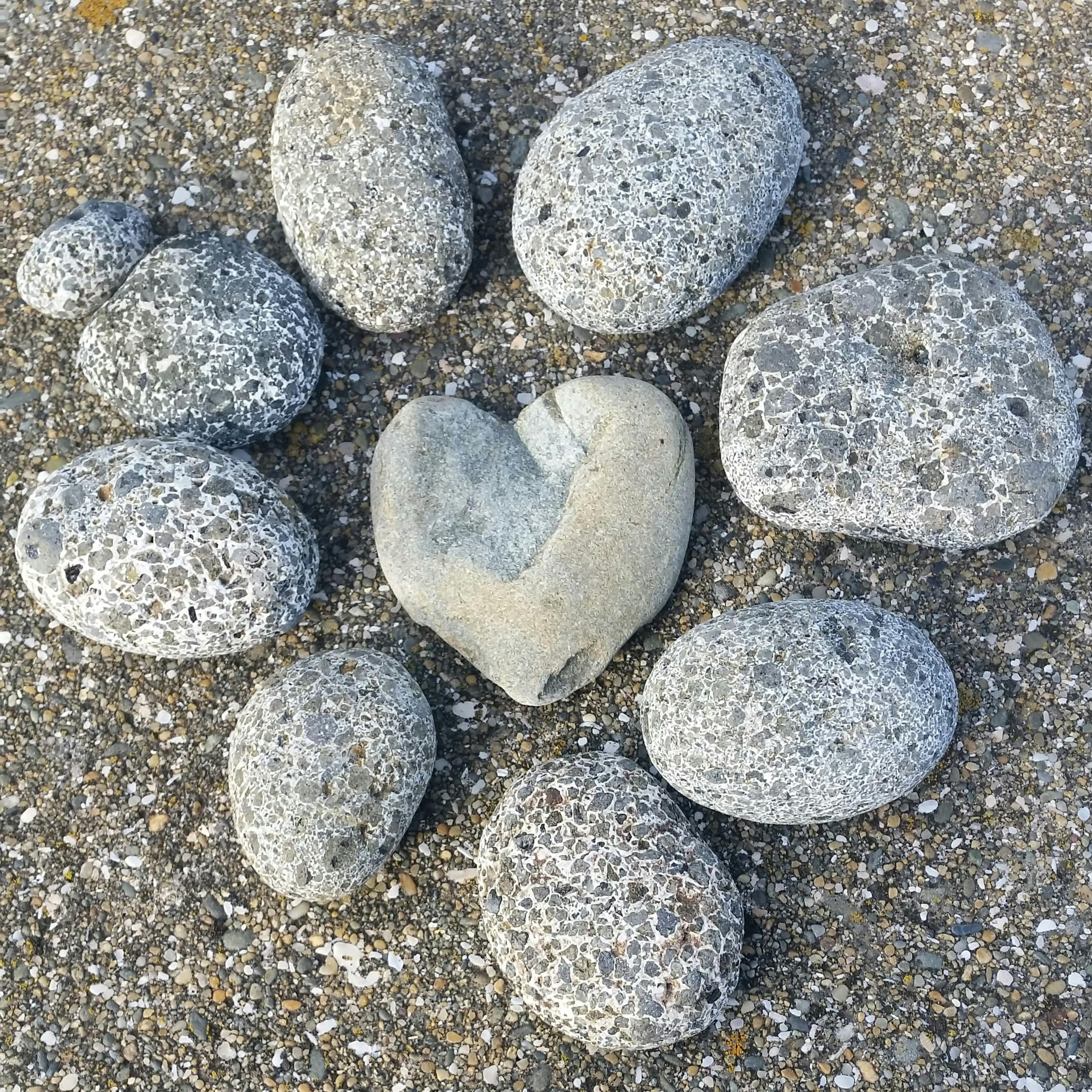 CW C60 Trident Pro 600