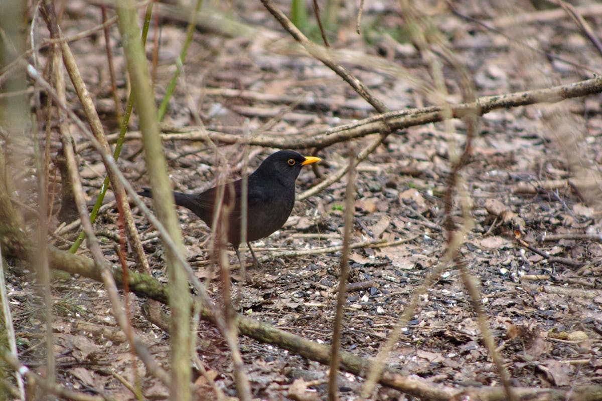 Notebook, tea, and candle arranged in an evening routine setting
