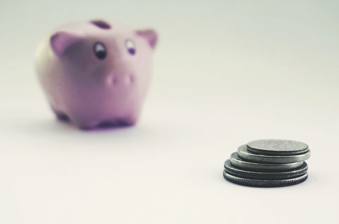 Free Coins and a Piggy Bank Stock Photo