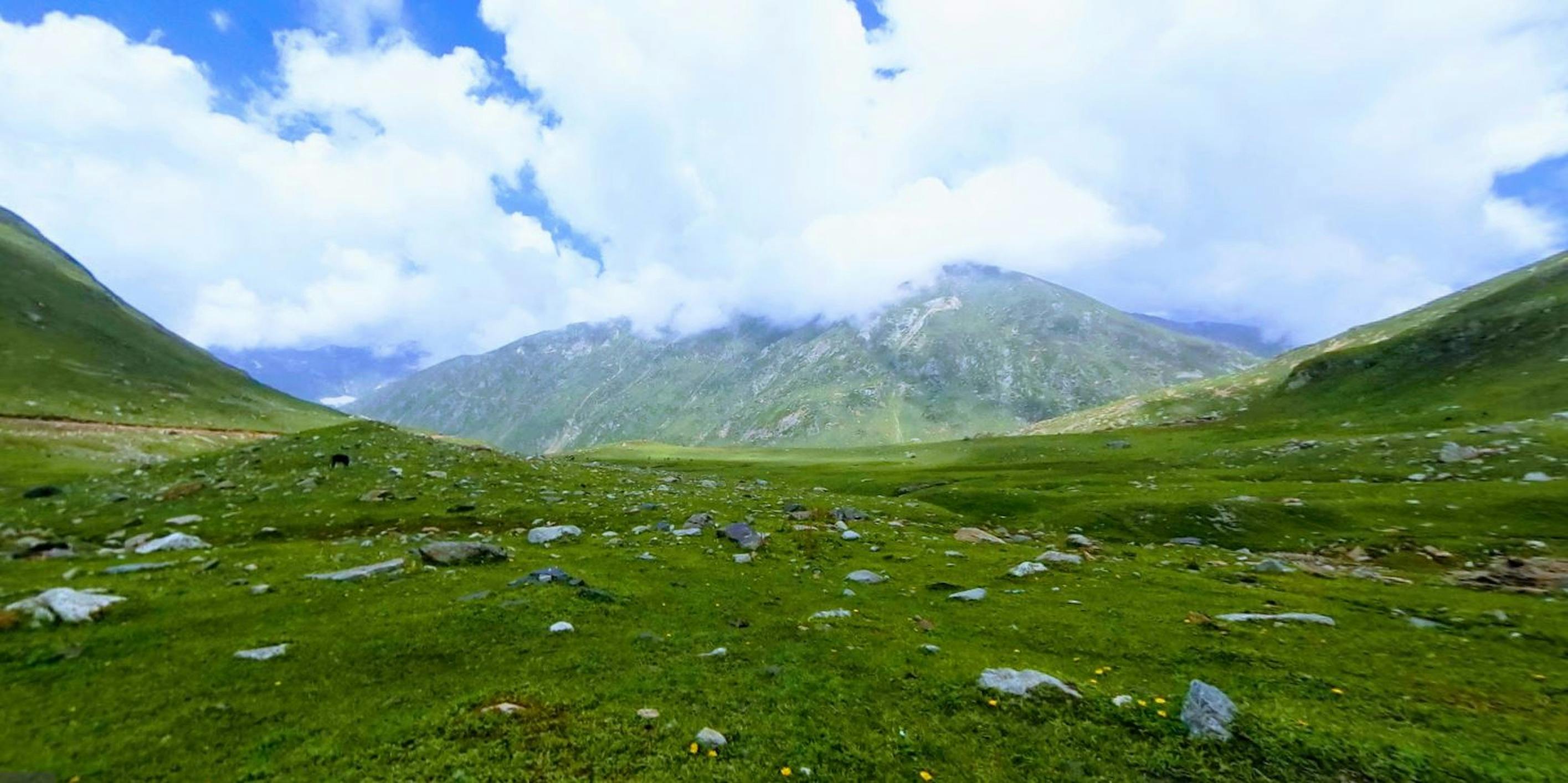 办公场景中的合同审查