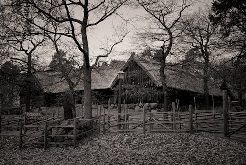 село, скандинавія, стокгольм 的 免費圖庫相片