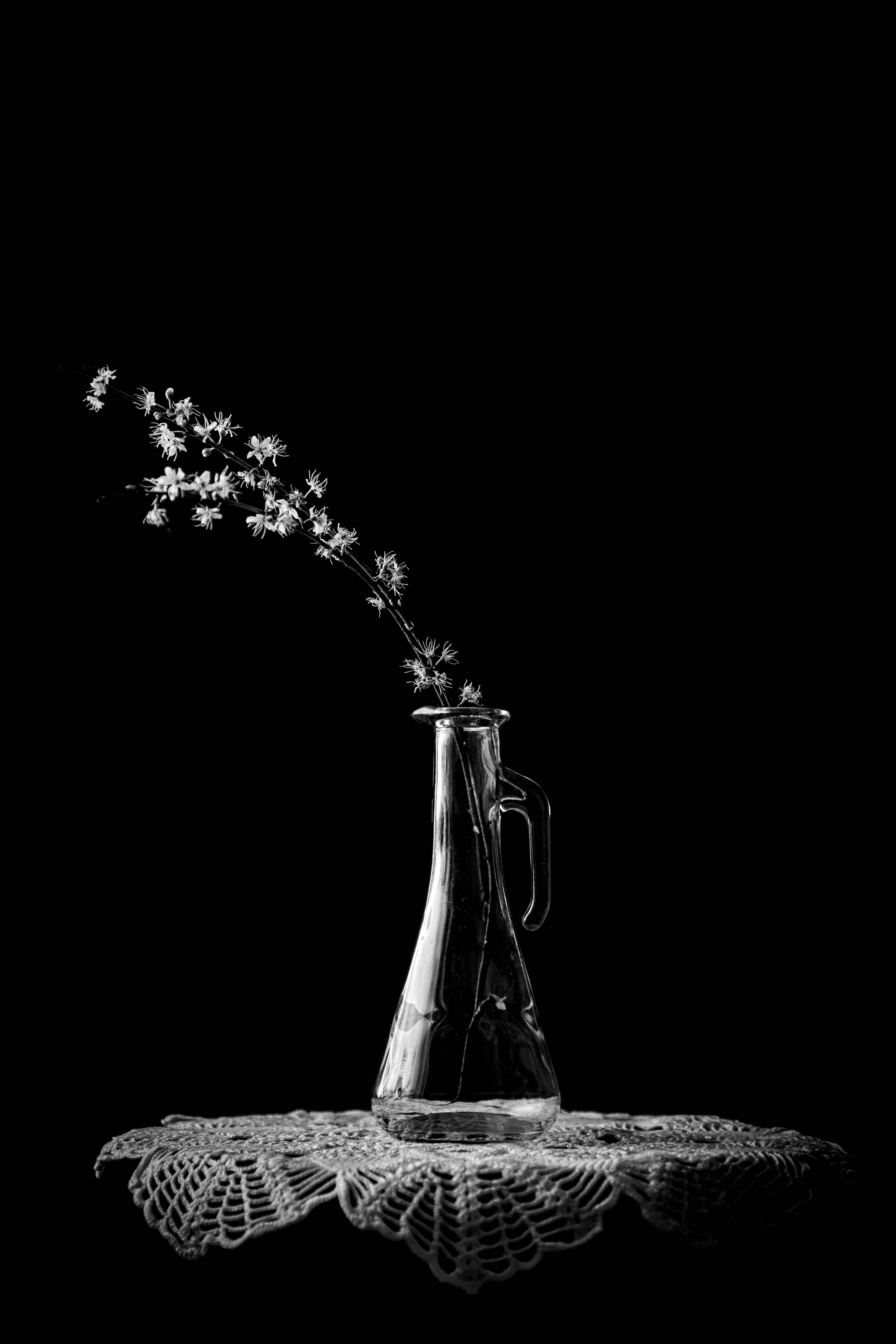 Black and White Floral Still Life Photograph · Free Stock Photo