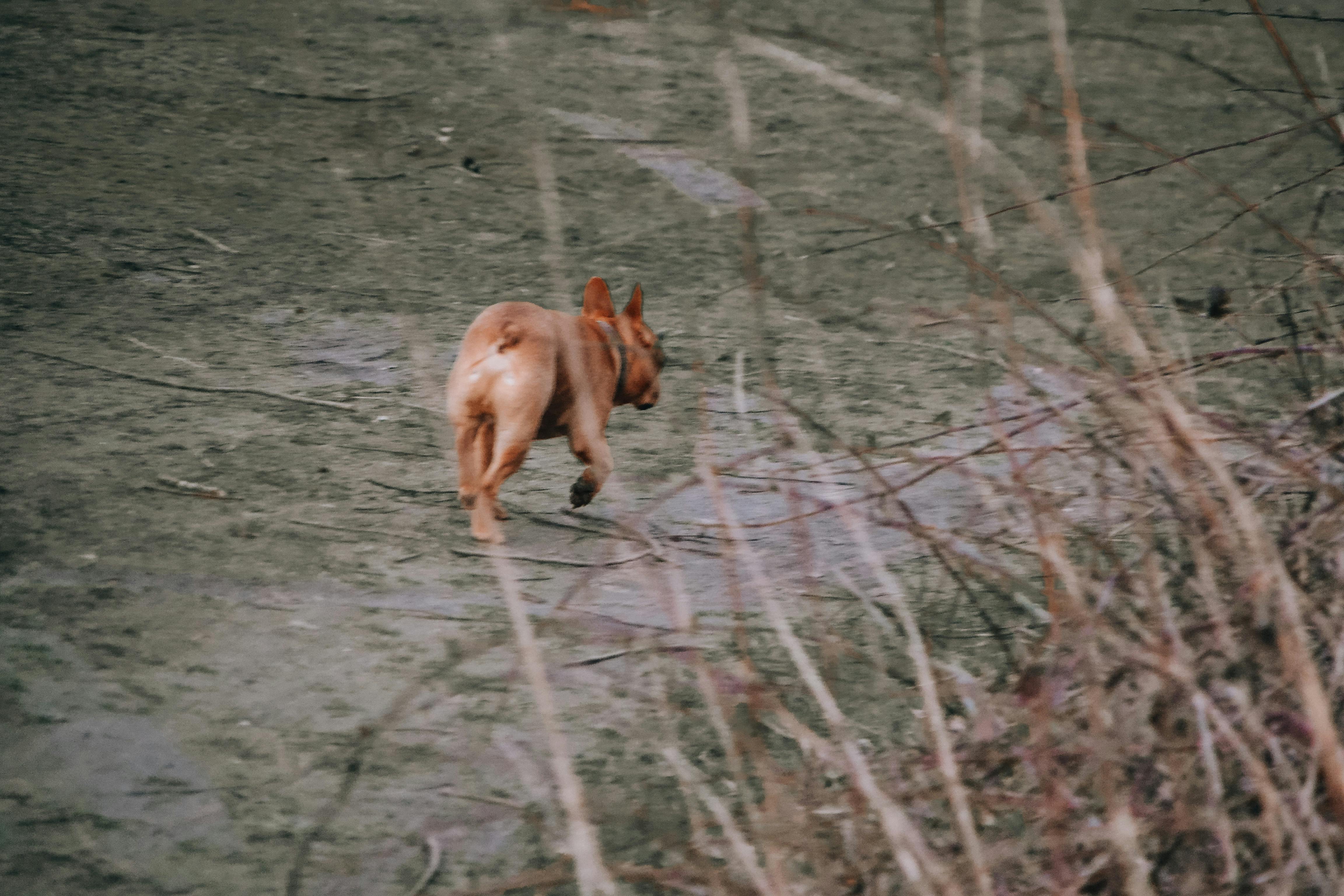 Protein Tozu Rehberi: Çeşitleri, Faydaları ve Doğru Kullanım İpuçları ile Kaslarınızı Besleyin