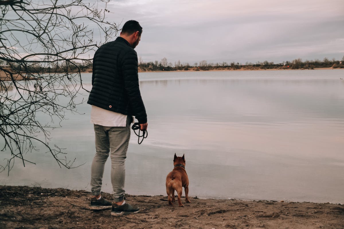 Child therapy session