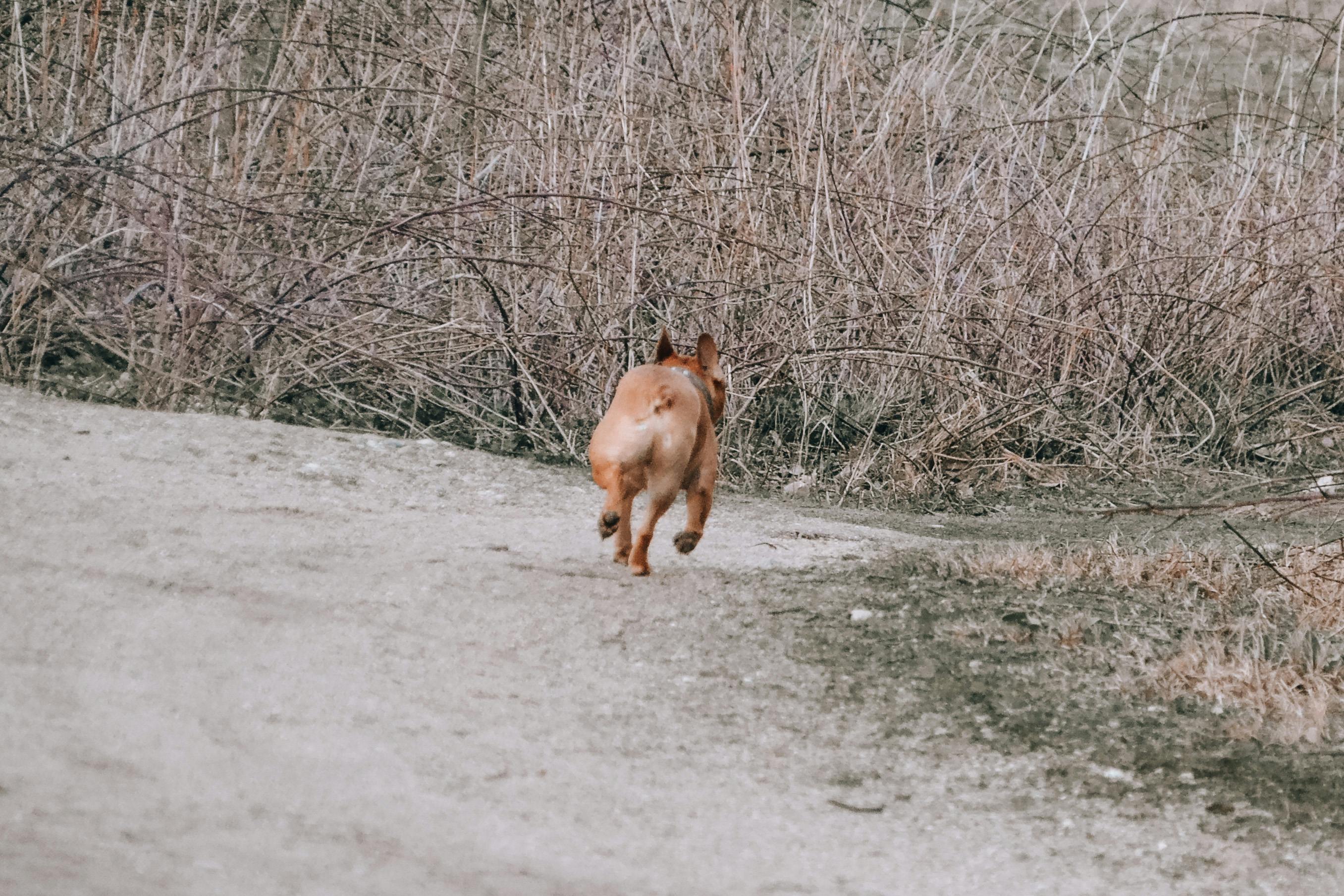 Günlük Su İhtiyacınızı Karşılama Rehberi: Sağlığınız İçin Bilmeniz Gerekenler
