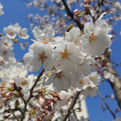 Người phụ nữ đang bực bội vì vấn đề với vé máy bay