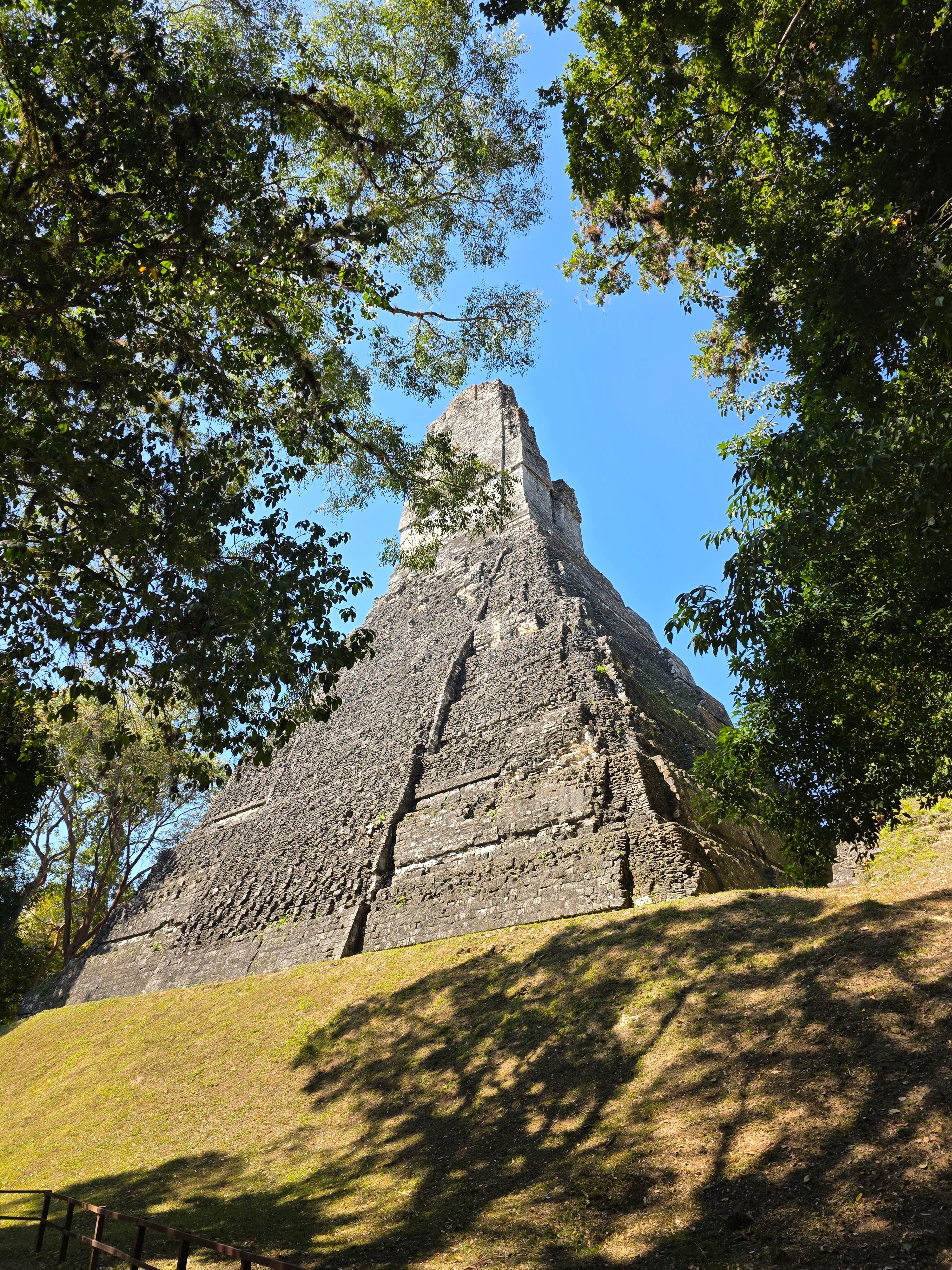 Ancient Mayan Pyramid Amidst Lush Foliage · Free Stock Photo