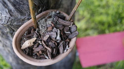 Brown Dried Leaves And Tree Bark On Brown Clay Pot