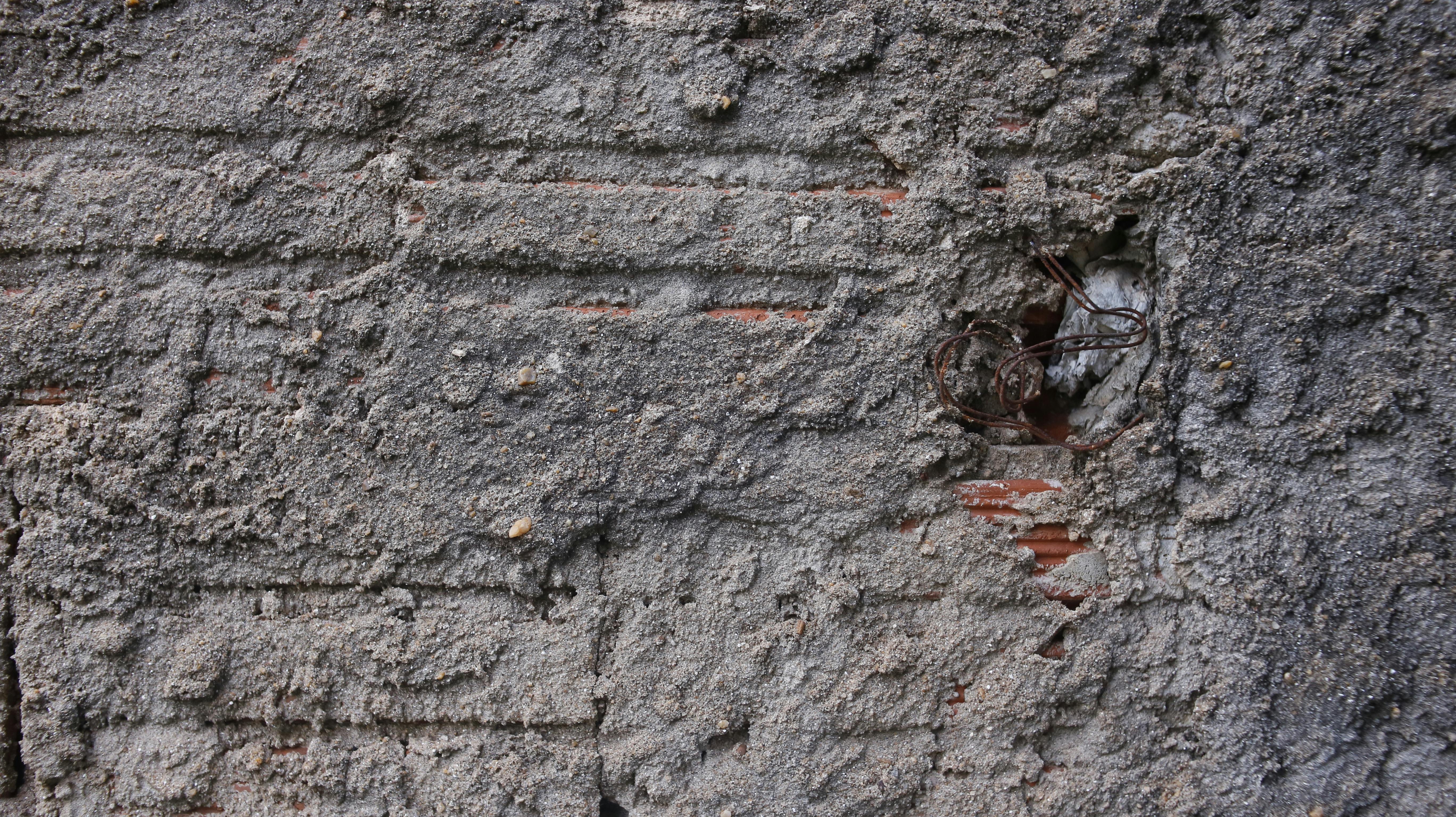 Alerjiler ve İntoleranslar: Farkları, Belirtileri ve Yönetim Yolları