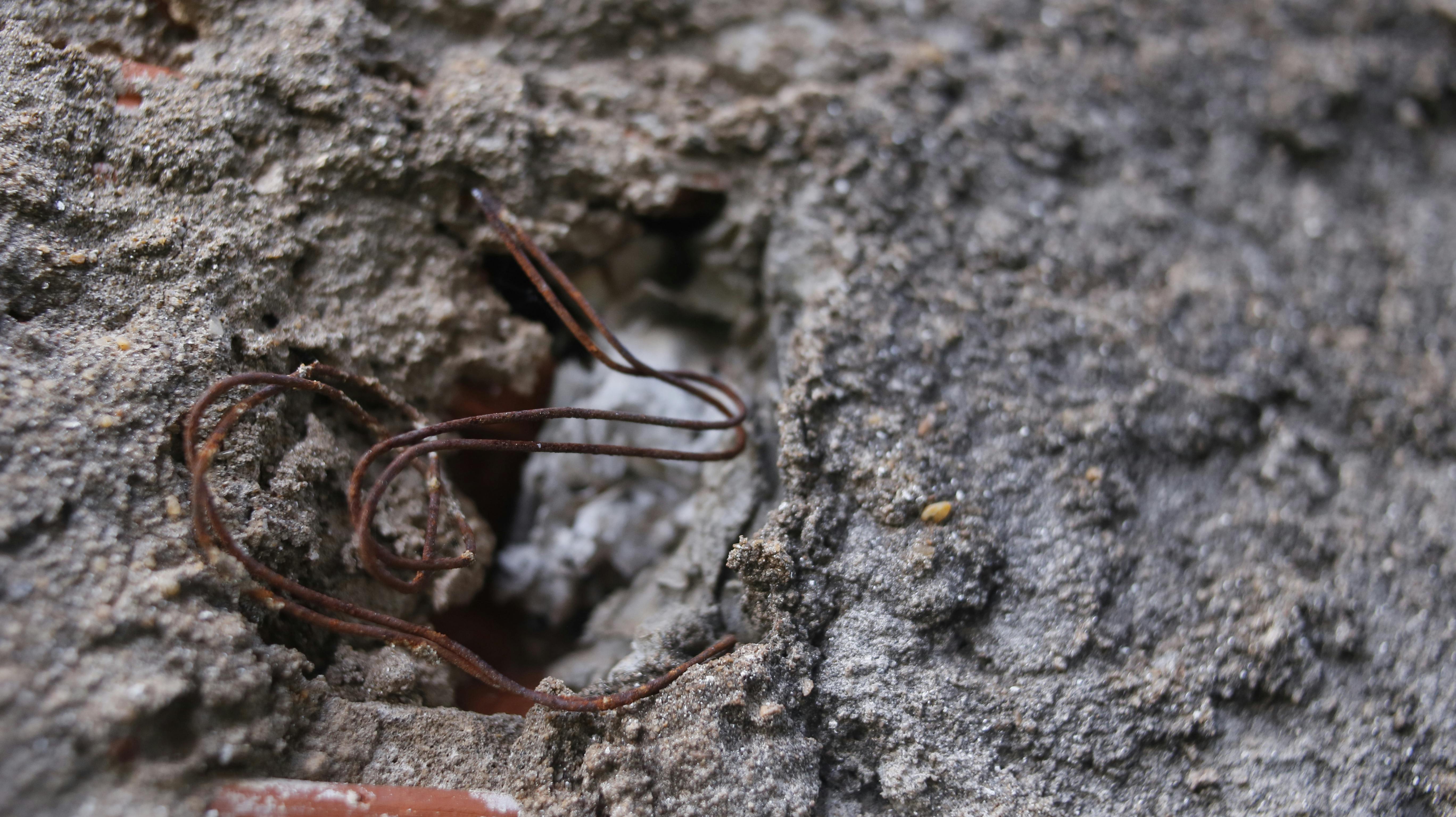 Alerjiler: Nedenleri, Belirtileri ve Baş Etme Yolları