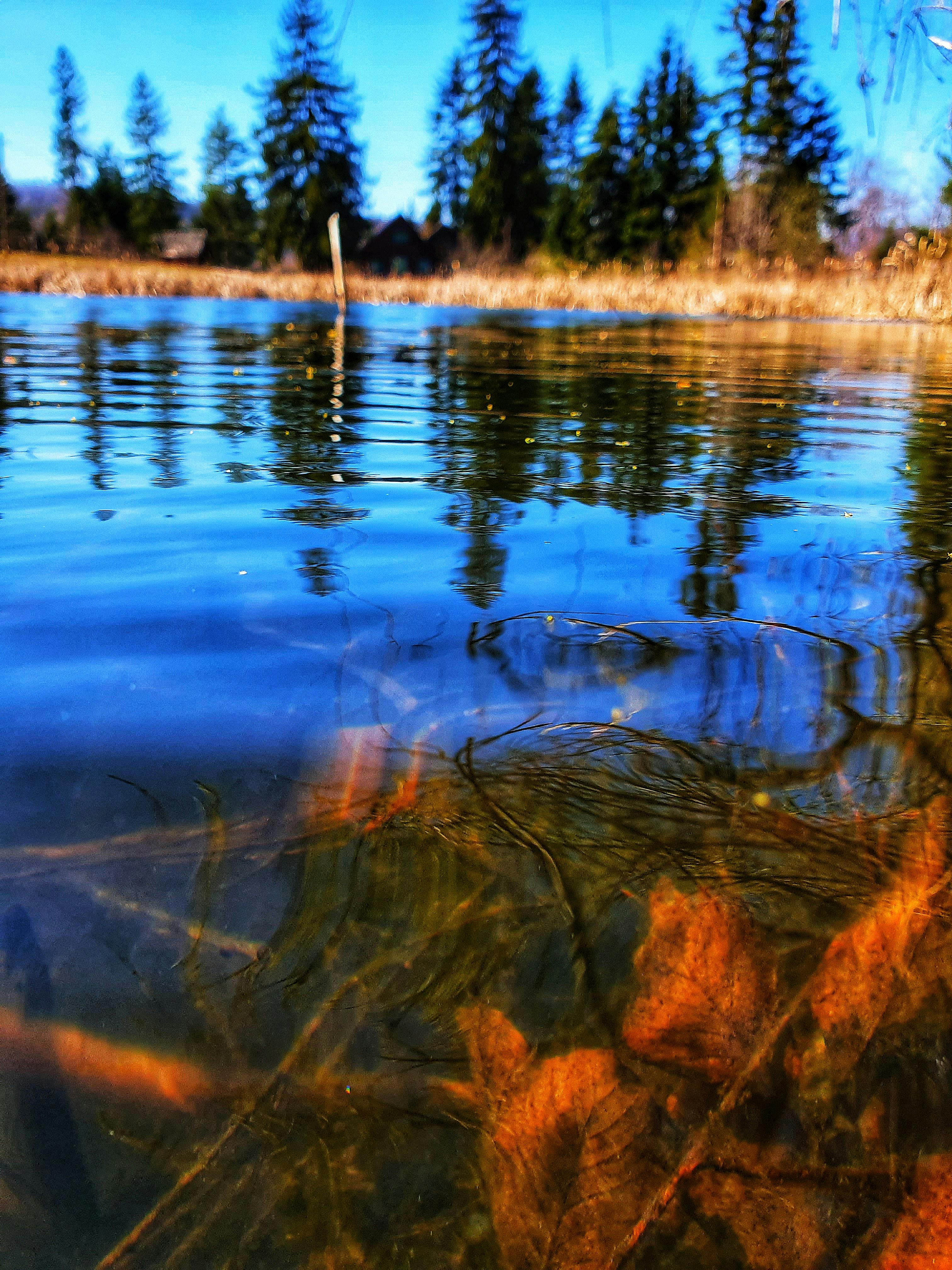 Entrepreneur doing quick home workout on yoga mat